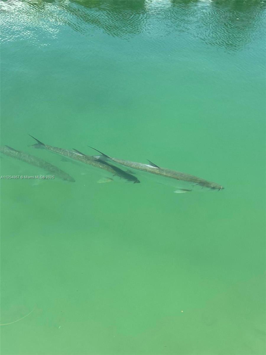 124 S Indies, Marathon FL 33050