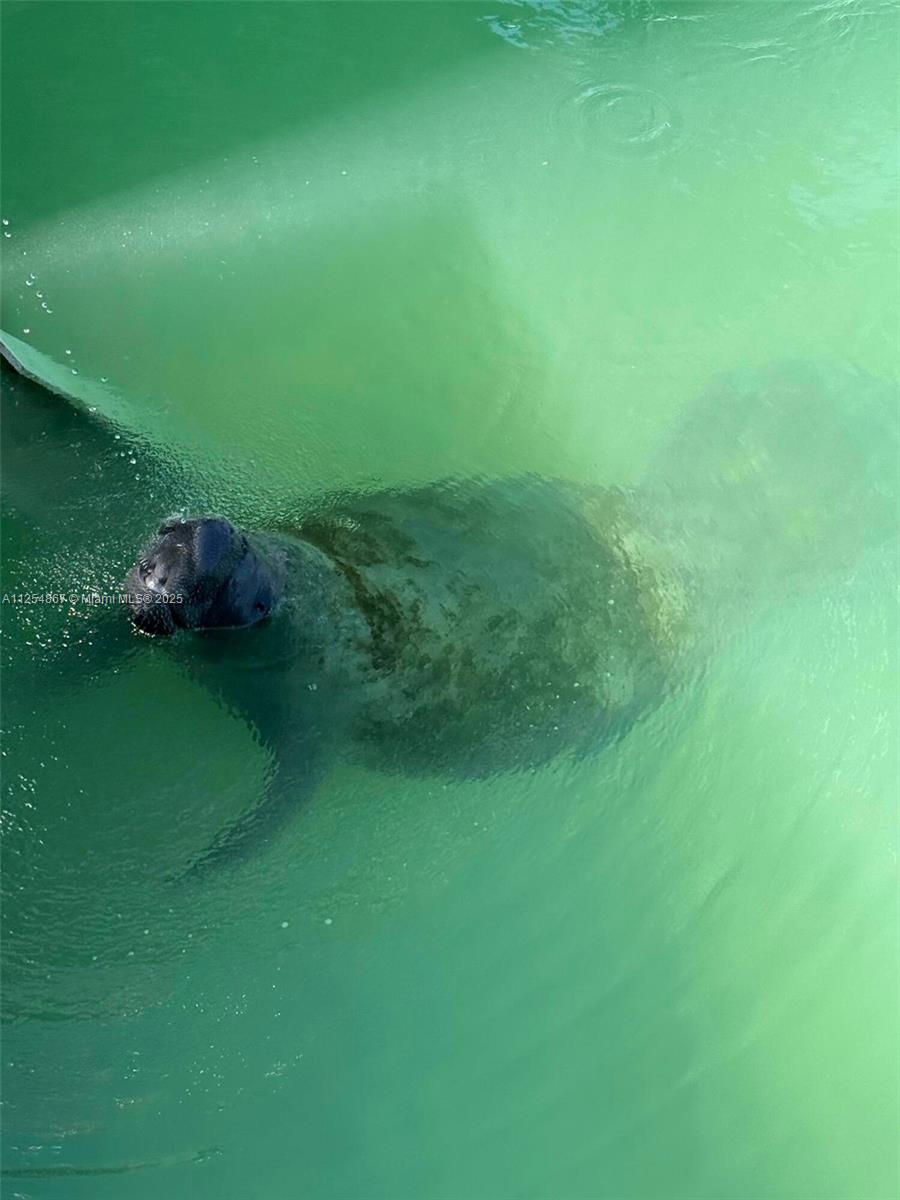 124 S Indies, Marathon FL 33050