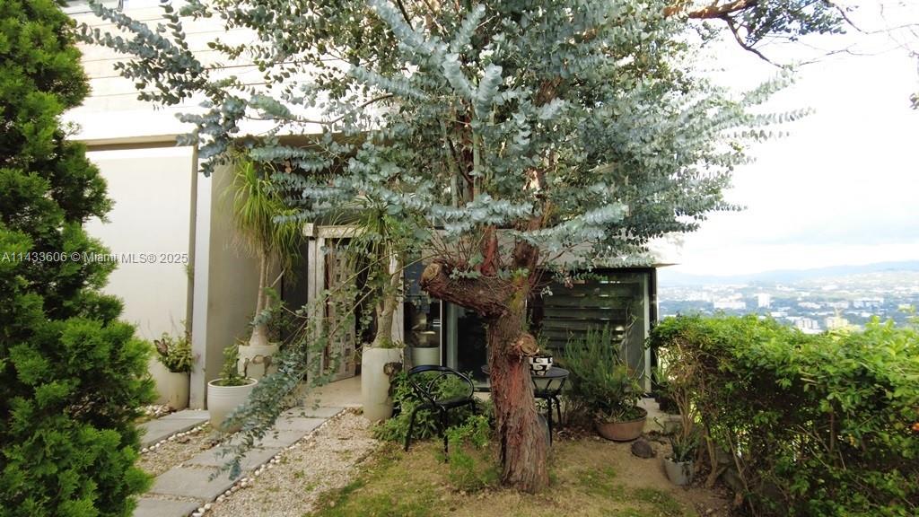 46 Cerro Real Alto Las Palomas, , CO