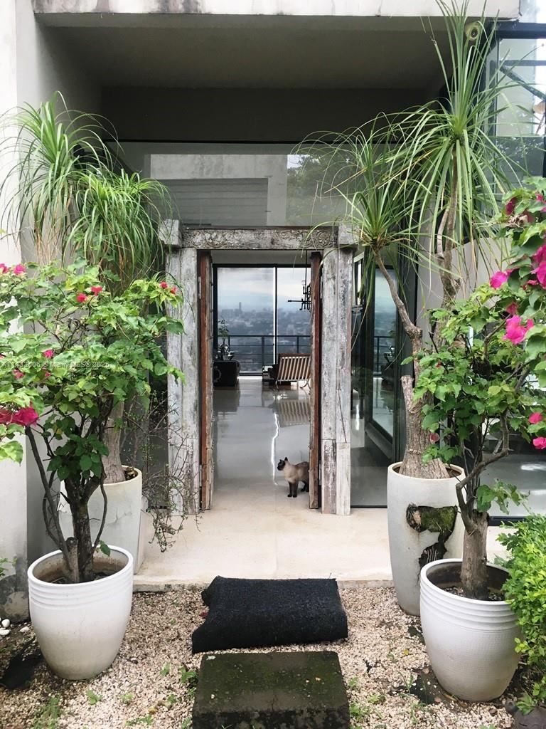 46 Cerro Real Alto Las Palomas, , CO