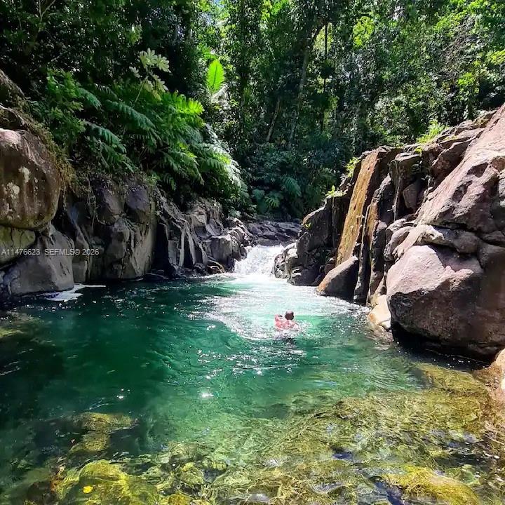 0 CALIBISHE, DOMINICA, , CO 00000
