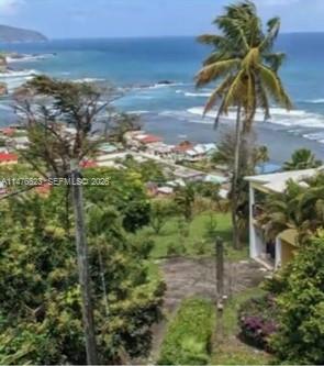 0 CALIBISHE, DOMINICA, , CO 00000