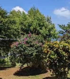 0 CALIBISHE, DOMINICA, , CO 00000