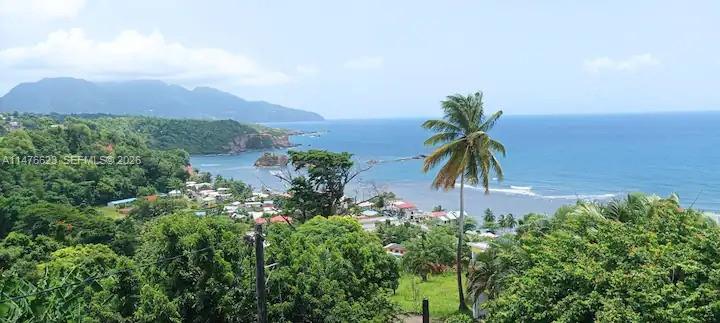 0 CALIBISHE, DOMINICA, , CO 00000