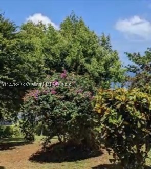 0 CALIBISHE, DOMINICA, CO 00000