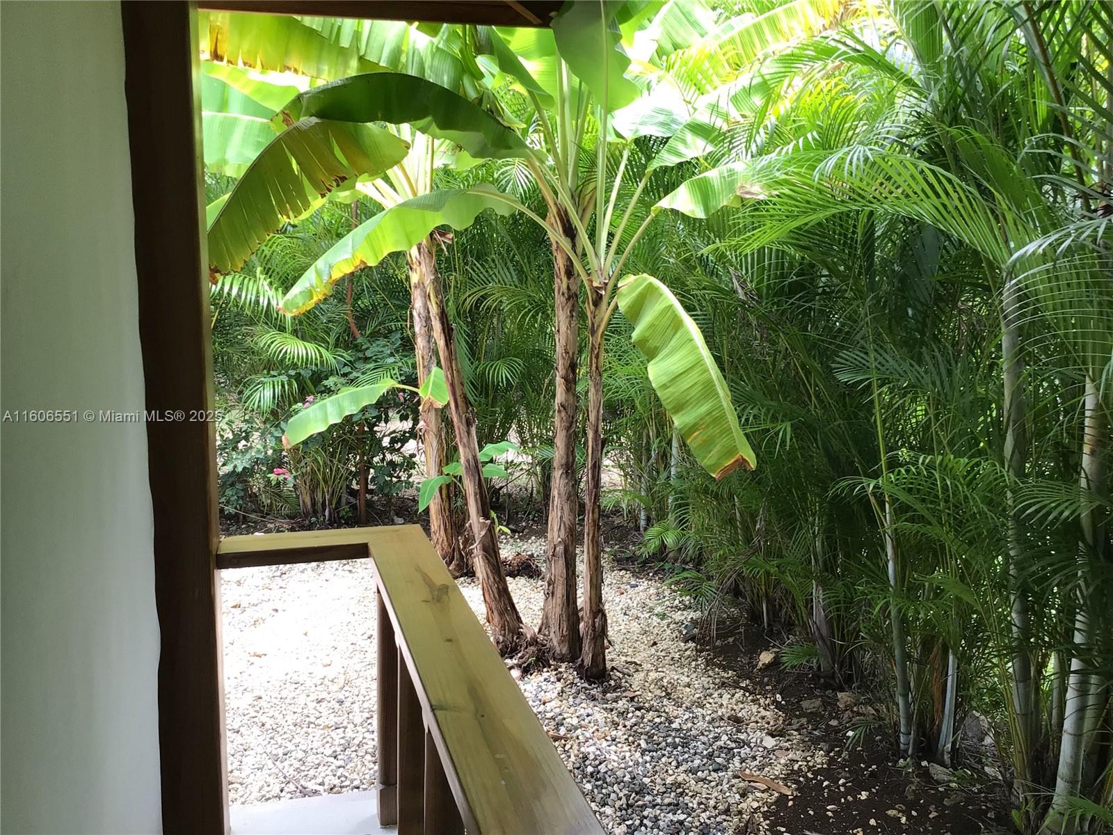 2100 Avenida Las Trinitarias, Juan Dolió, Rep Dom, Other FL 00000