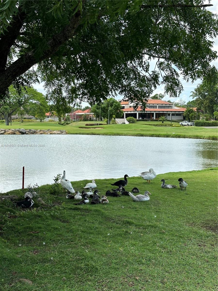 2100 Avenida Las Trinitarias, Juan Dolió, Rep Dom, Other FL 00000