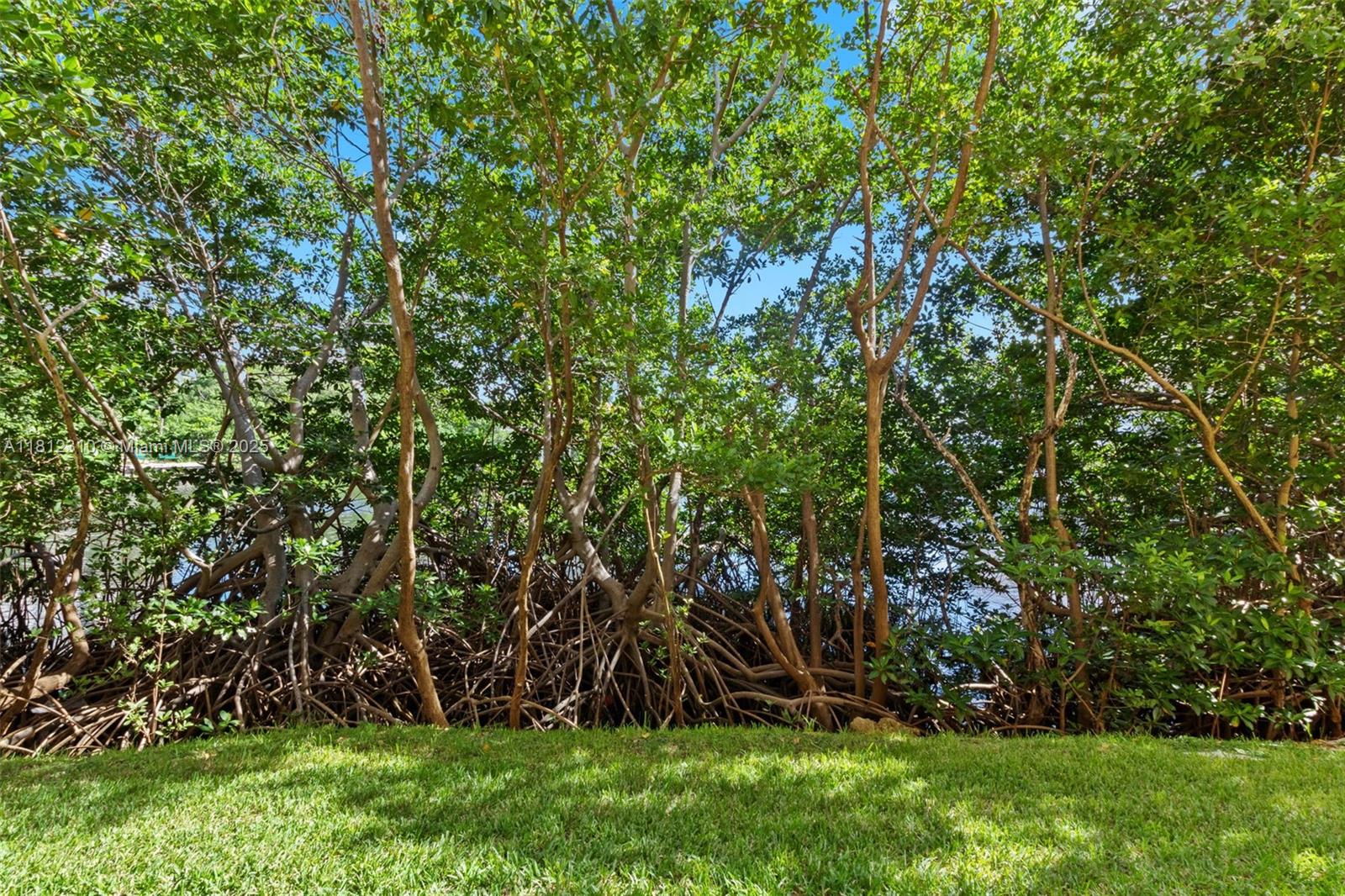 19999 E Country Club Dr #1106, Aventura FL 33180