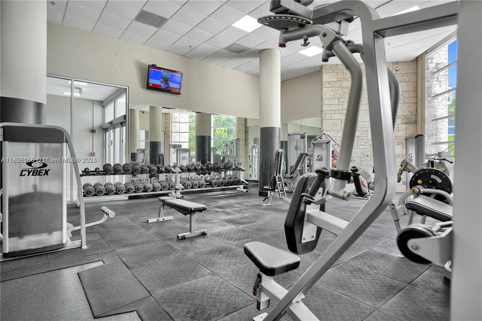 5151 Collins Ave #535, Miami Beach FL 33140