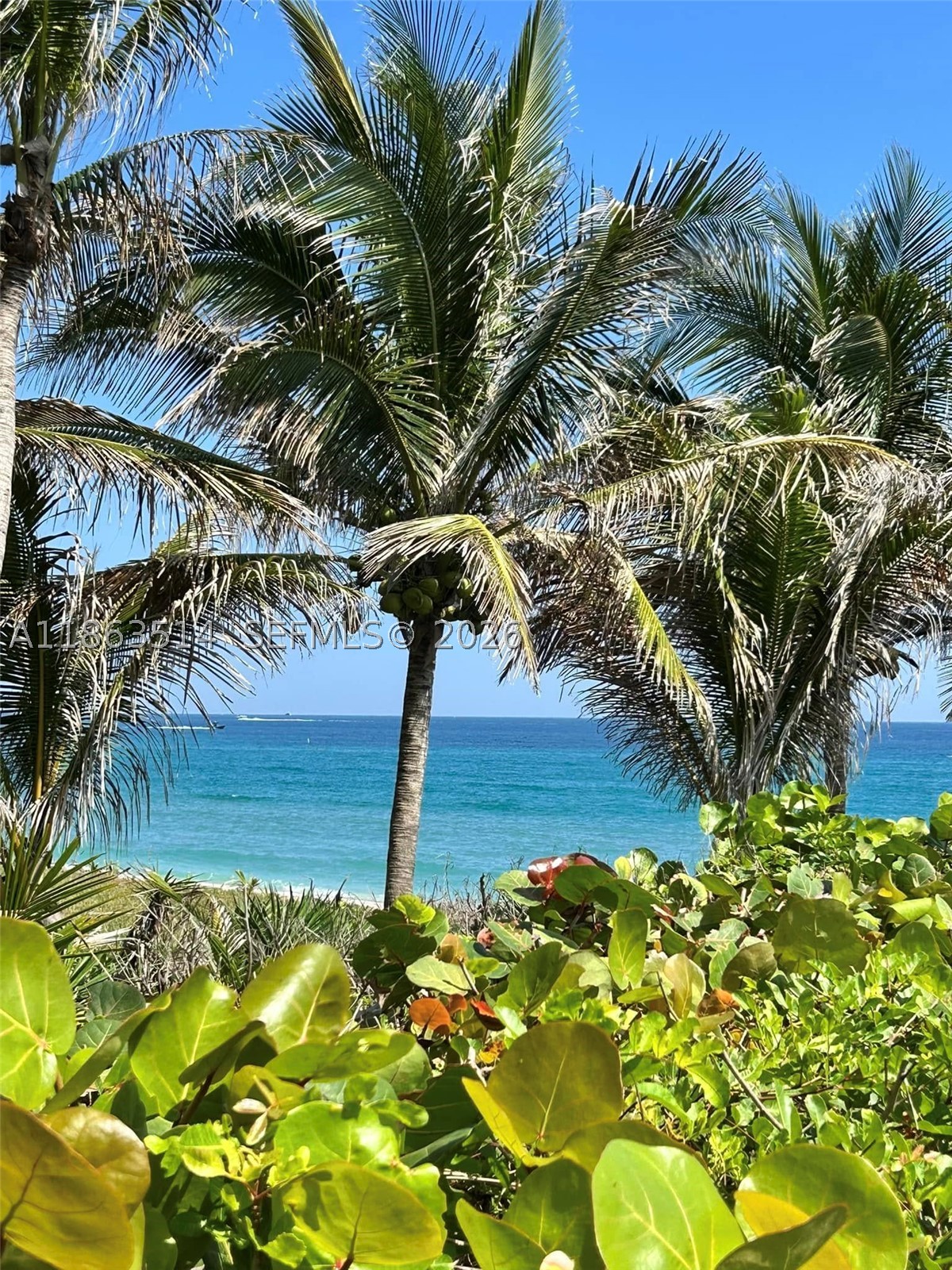 1223 Hillsboro Mile #4, Hillsboro Beach FL 33062