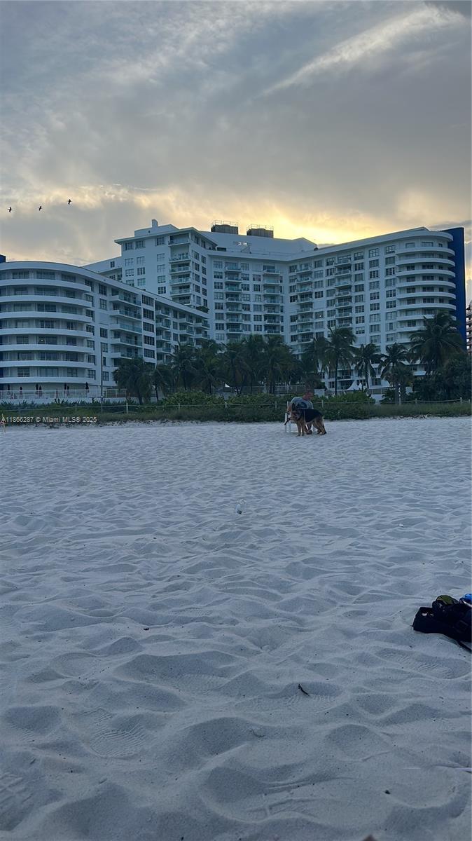 5161 Collins Ave #811, Miami Beach FL 33140