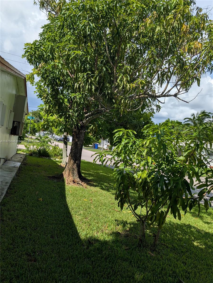 4550 NW 43rd St, Lauderdale Lakes FL 33319
