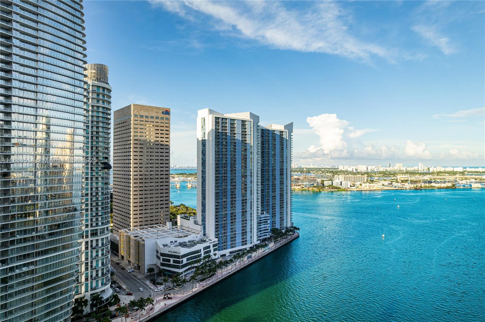 325 S Biscayne Blvd #4115, Miami FL 33131