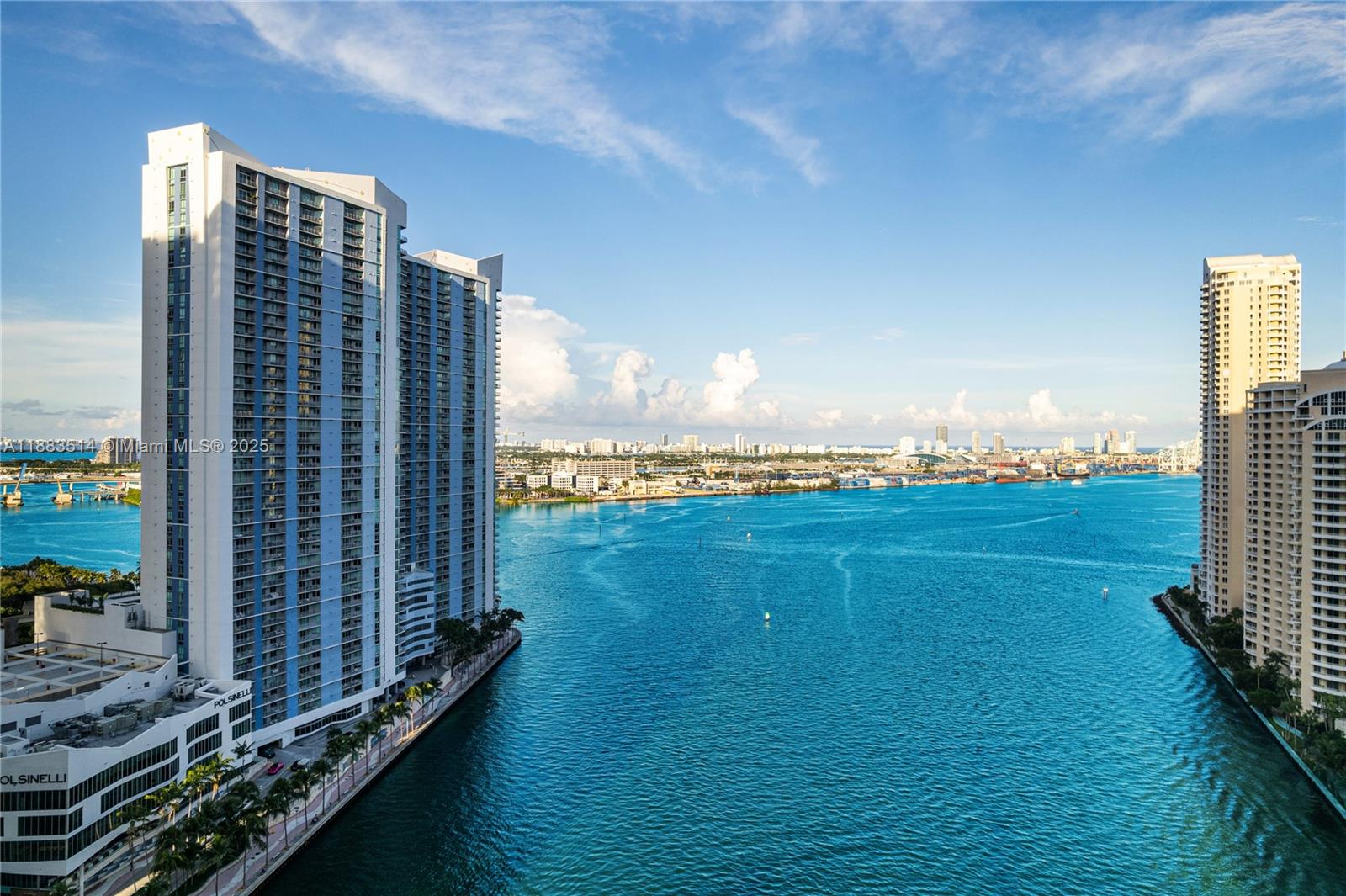 325 S Biscayne Blvd #4115, Miami FL 33131
