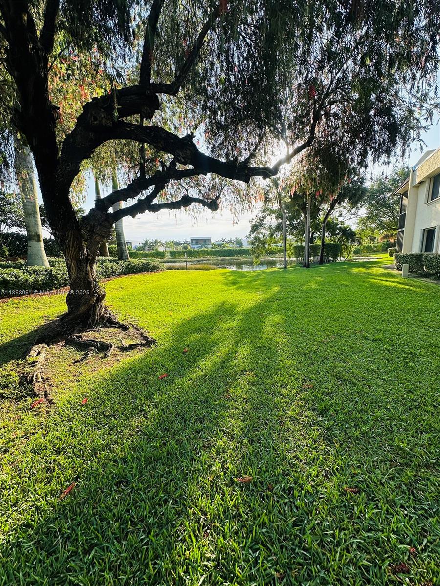 16491 Blatt Blvd #202, Weston FL 33326