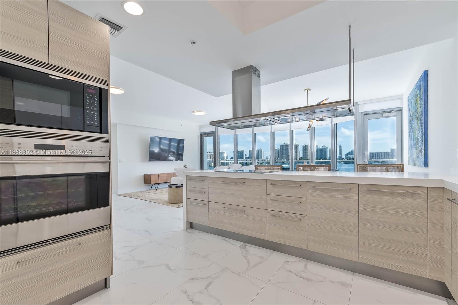 17301 Biscayne Blvd #411, North Miami Beach FL 33160