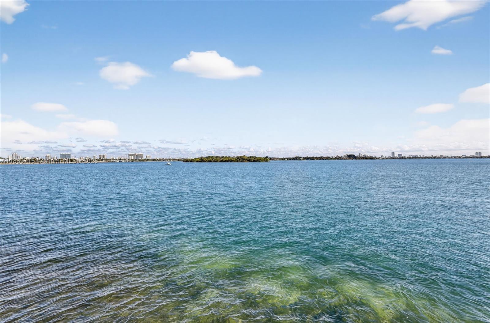 11930 N Bayshore Dr #1103, North Miami FL 33181