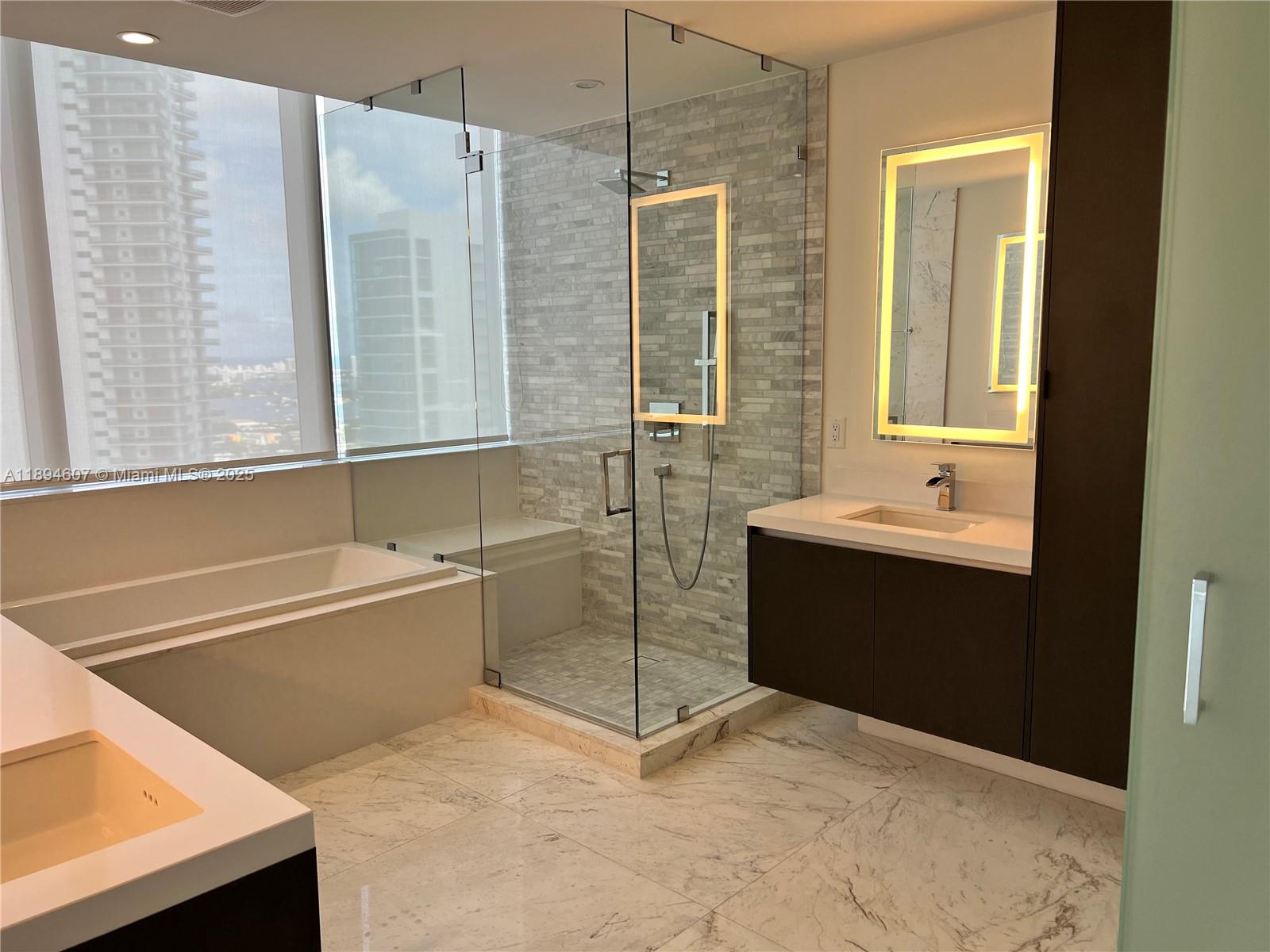 851 NE 1st Ave #4101, Miami FL 33132