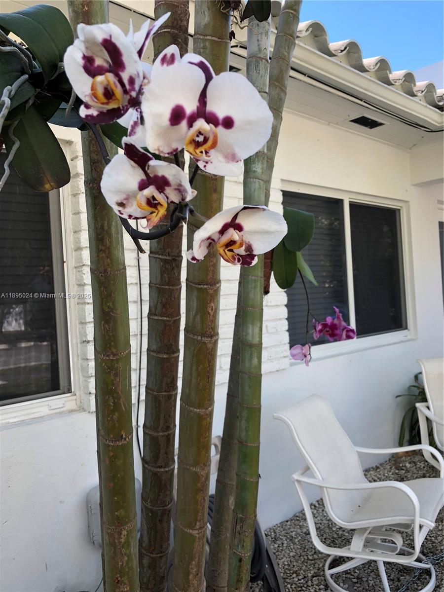 1160 SW 22nd terrace #2, Miami FL 33129
