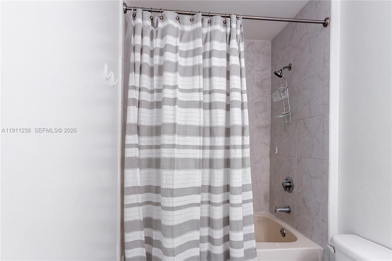 133 NE 2nd Ave #2905, Miami FL 33132