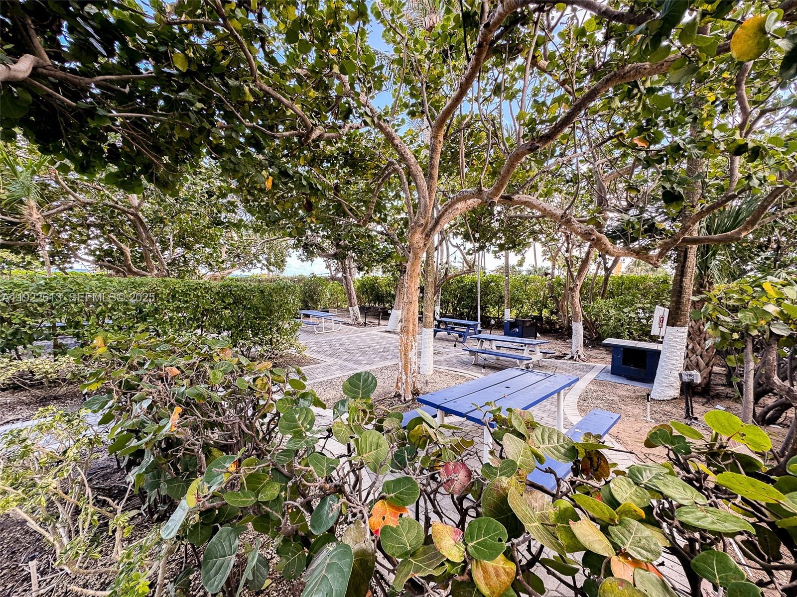 8877 Collins Ave #809, Surfside FL 33154