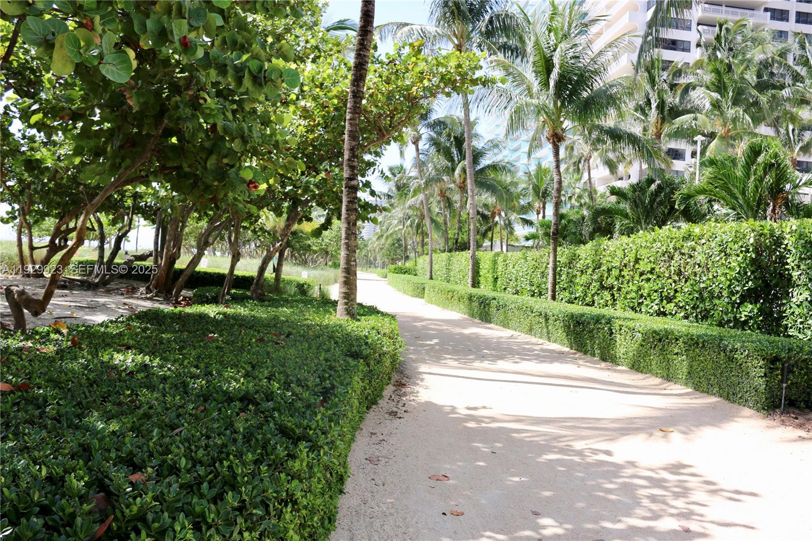 9801 Collins Ave #8N Ocean Views, Bal Harbour FL 33154