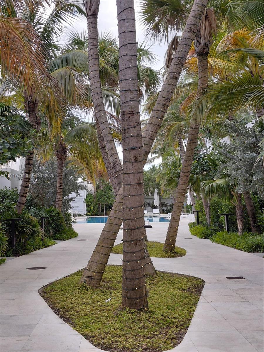 6365 Collins Ave #905, Miami Beach FL 33141