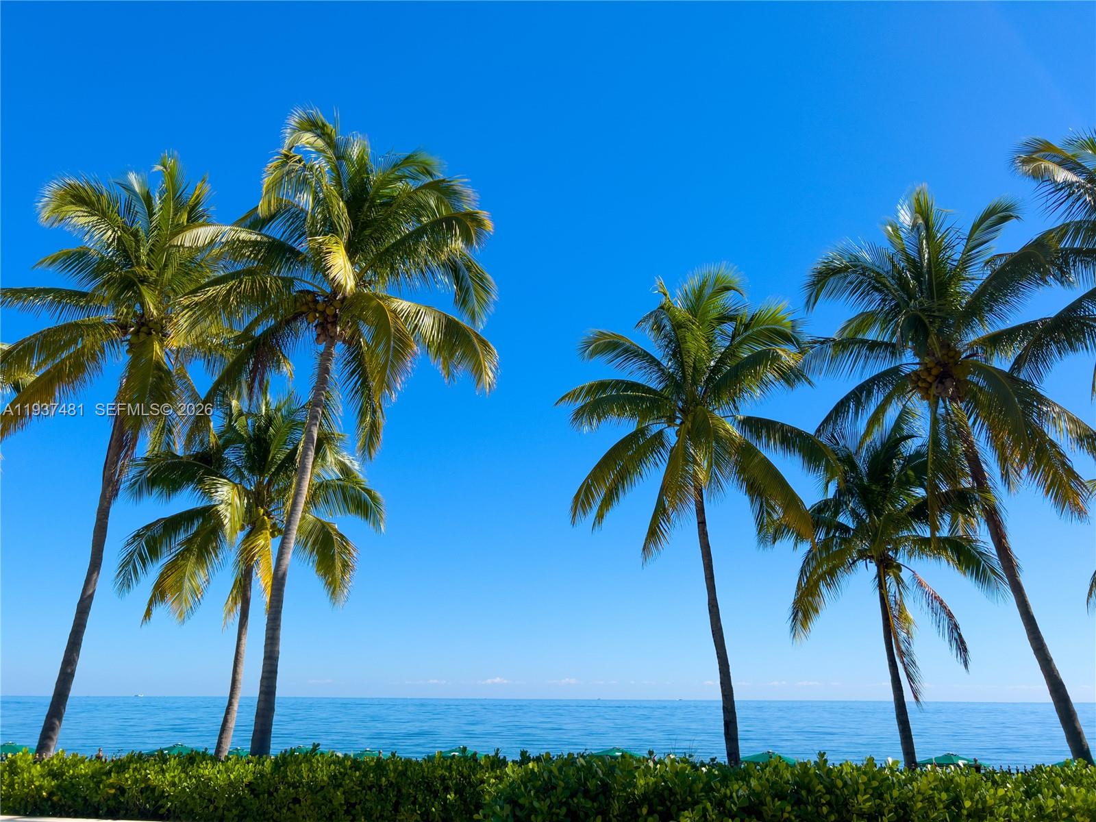 781 Crandon Blvd #804, Key Biscayne FL 33149