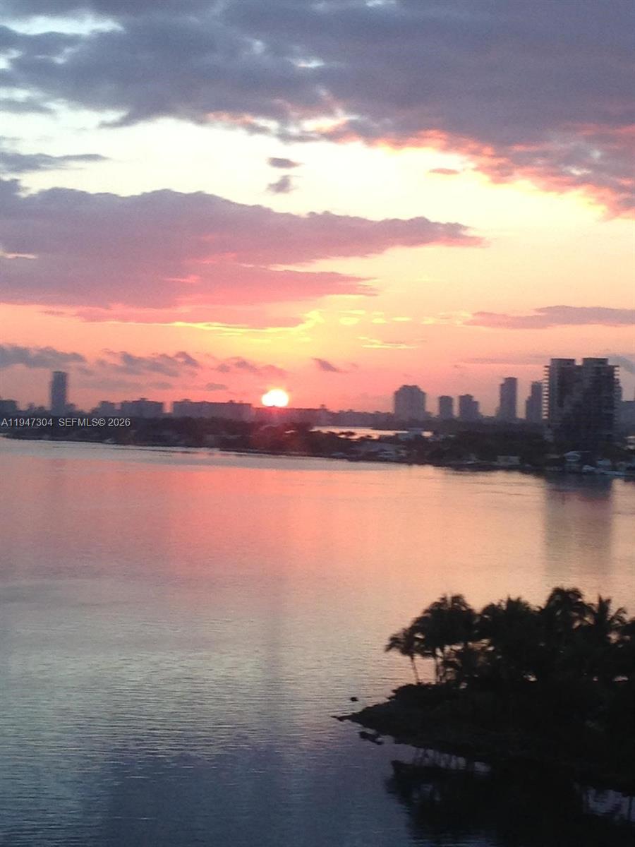 2020 N Bayshore Dr #1007, Miami FL 33137