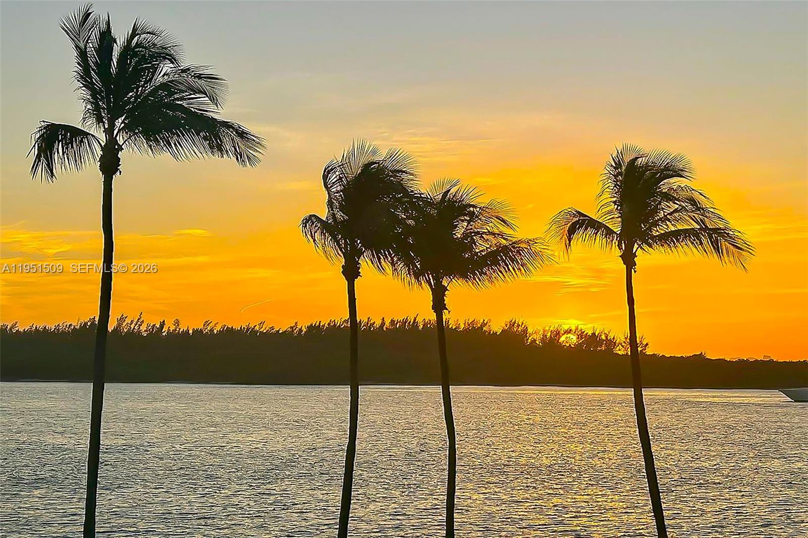 2225 Fisher Island Dr #3205, Miami Beach FL 33109