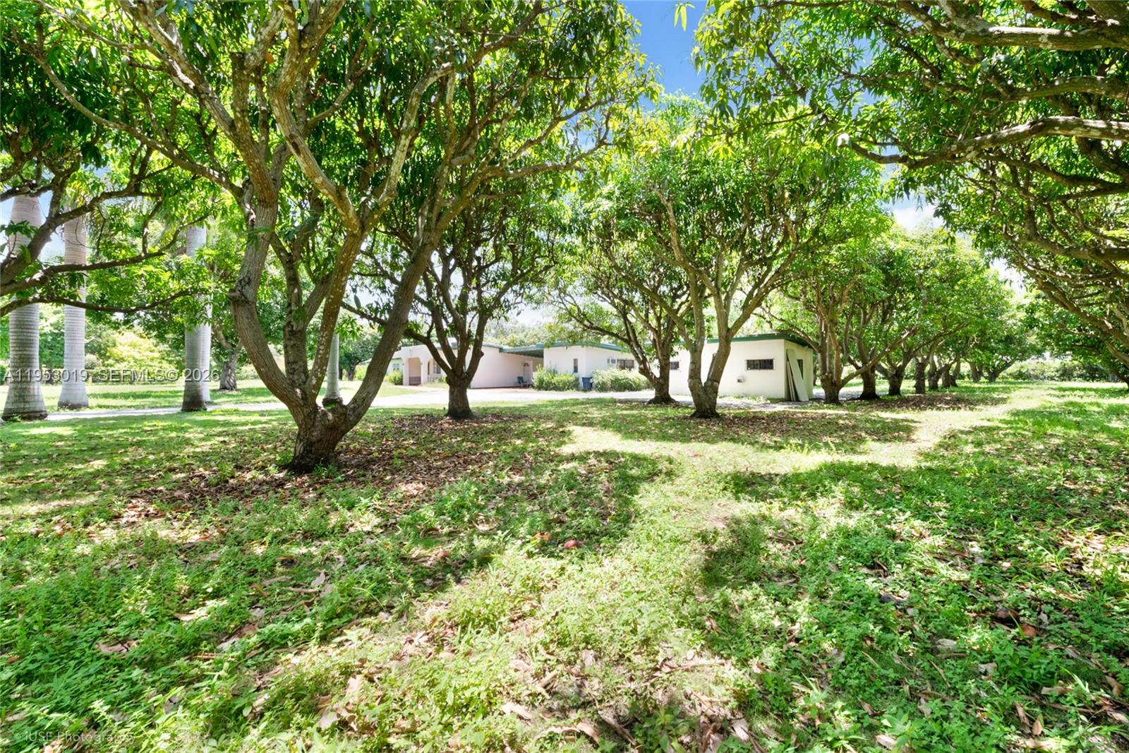 8000 SW 184th Str, Cutler Bay FL 33157