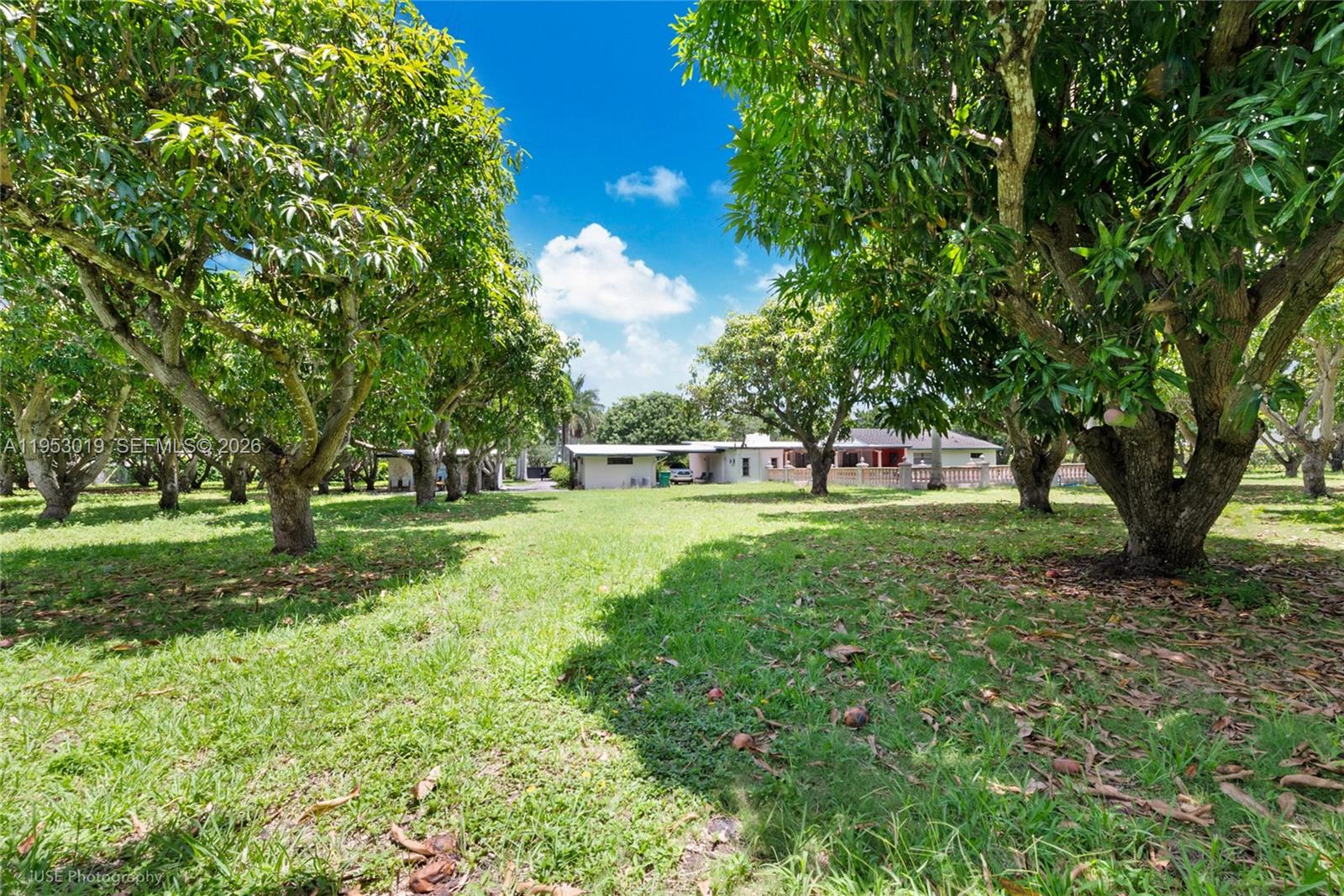 8000 SW 184th Str, Cutler Bay FL 33157