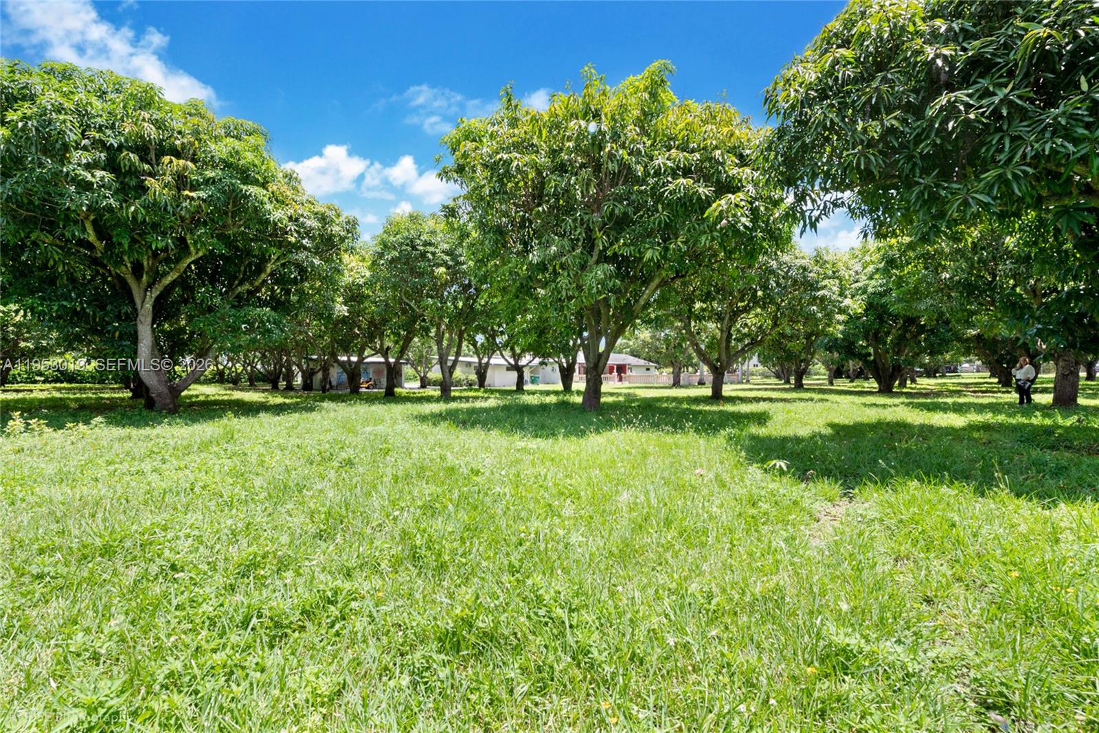 8000 SW 184th Str, Cutler Bay FL 33157
