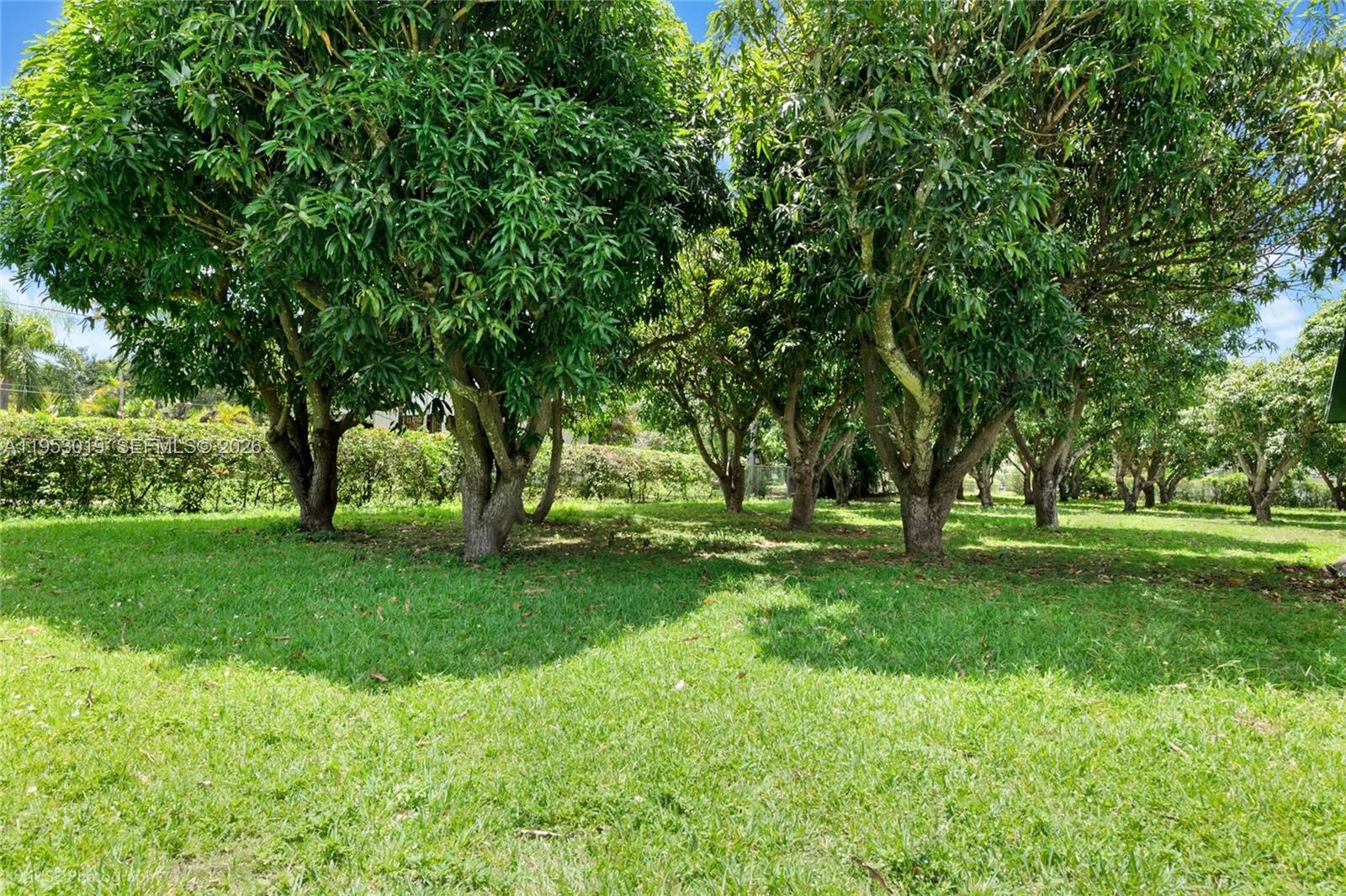 8000 SW 184th Str, Cutler Bay FL 33157