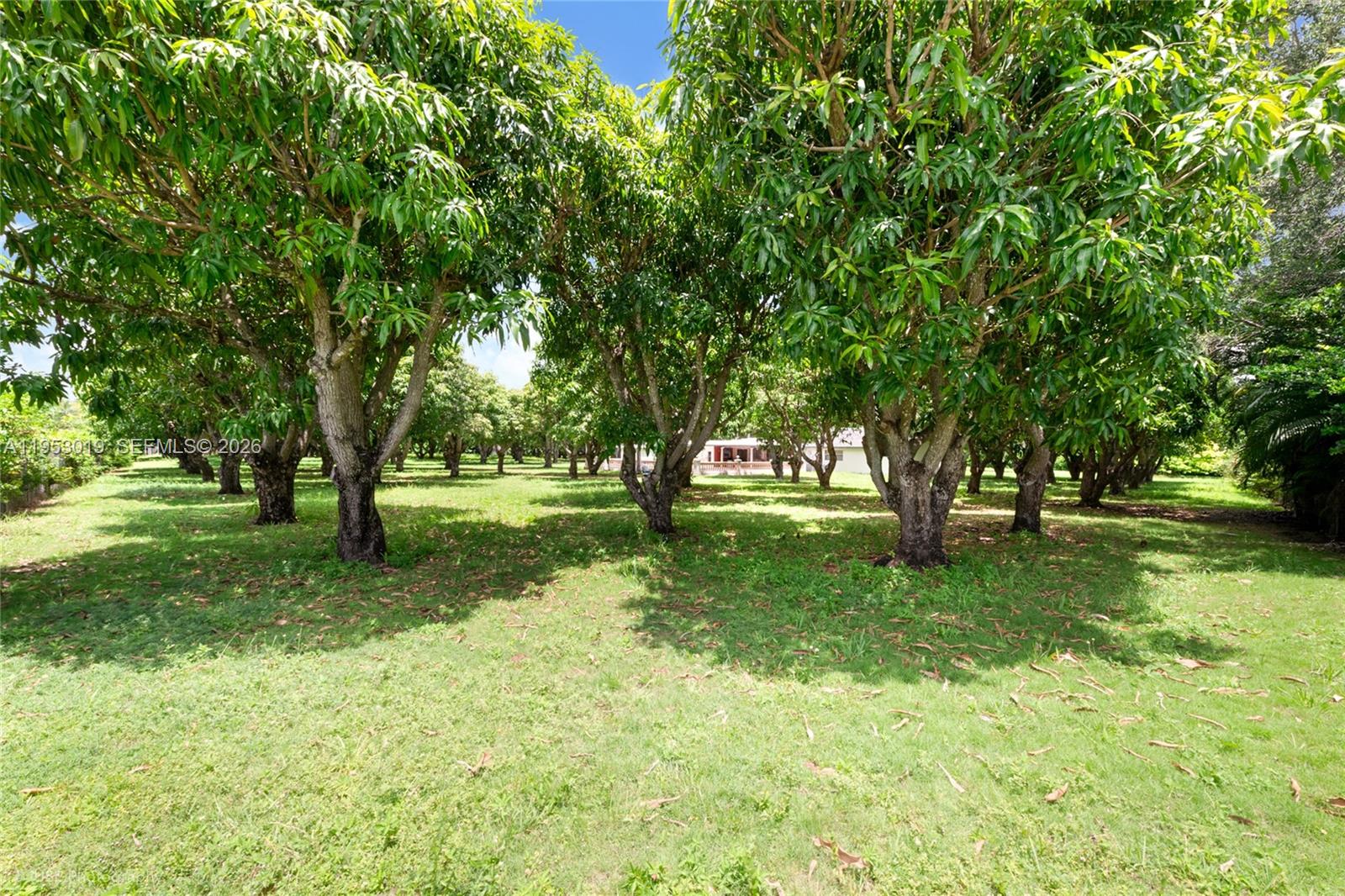 8000 SW 184th Str, Cutler Bay FL 33157