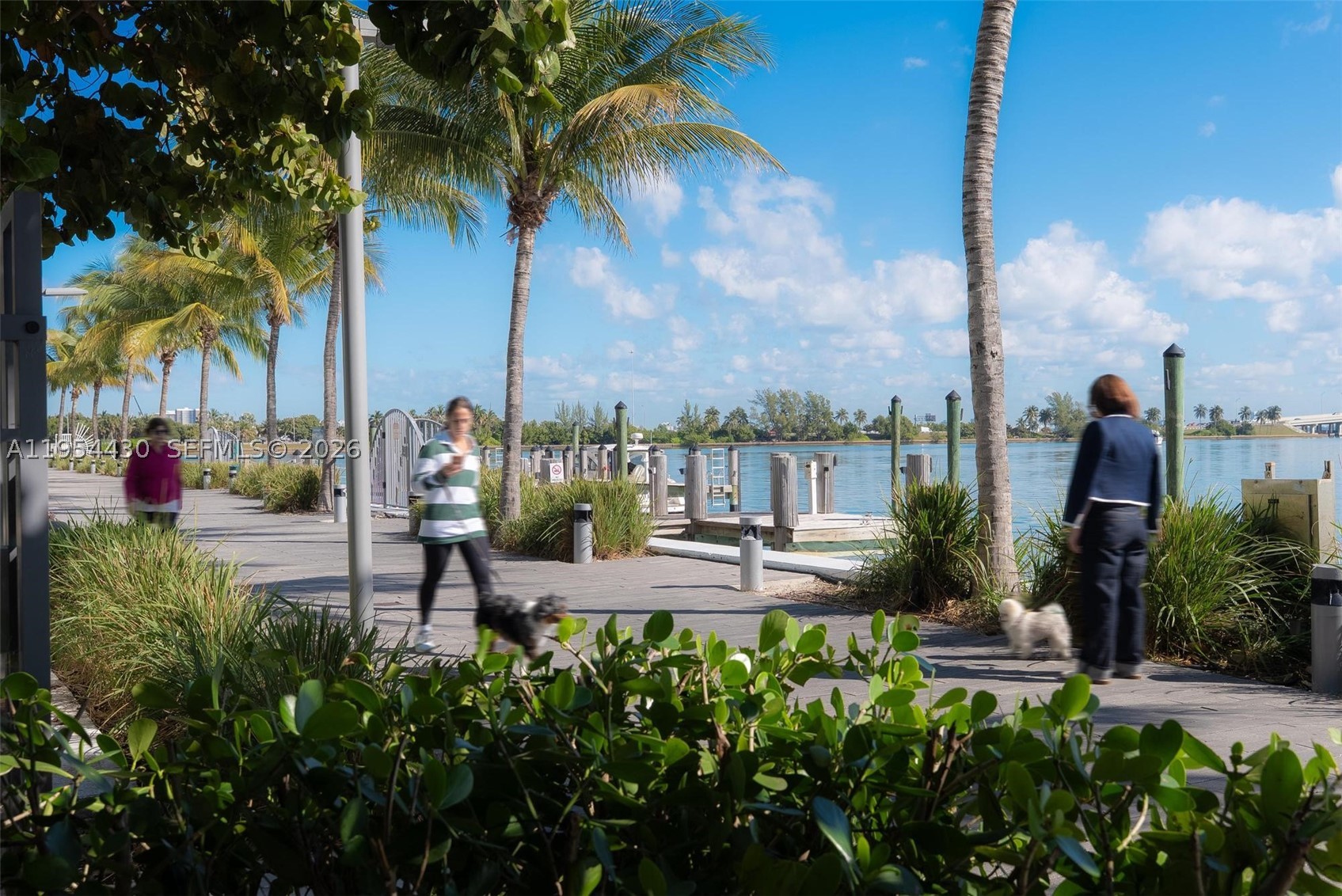 3131 NE 7th Ave #UPH5303, Miami FL 33137
