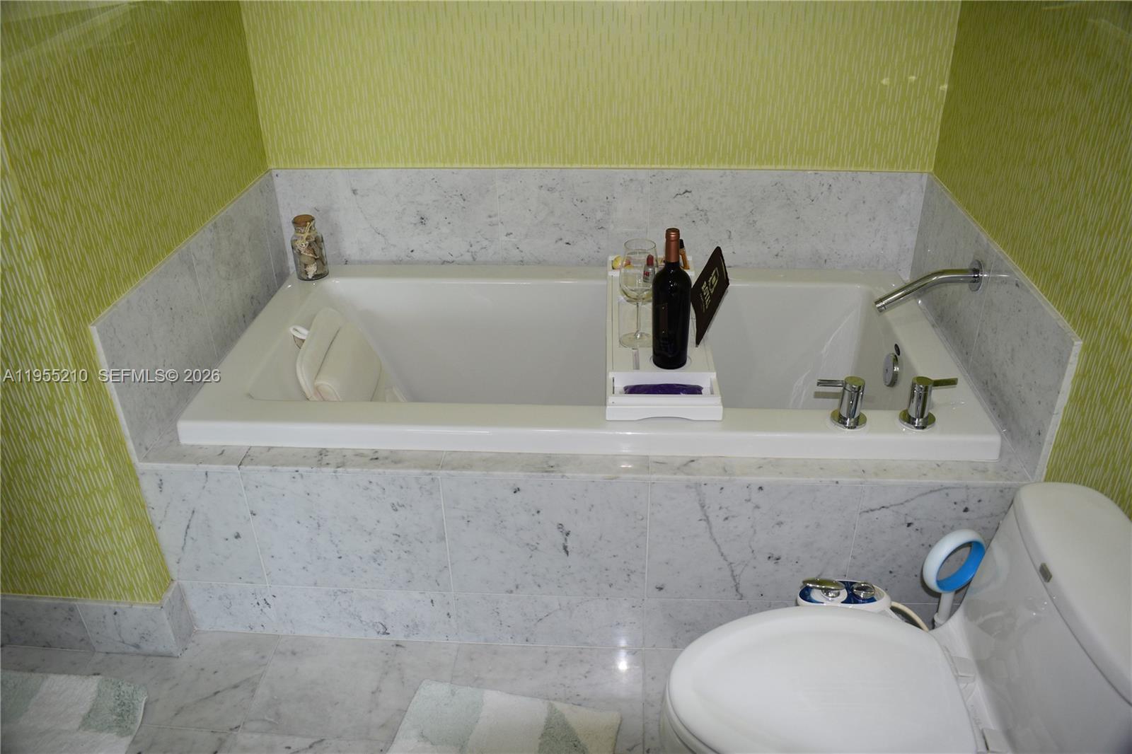 253 NE 2nd St #2402, Miami FL 33132