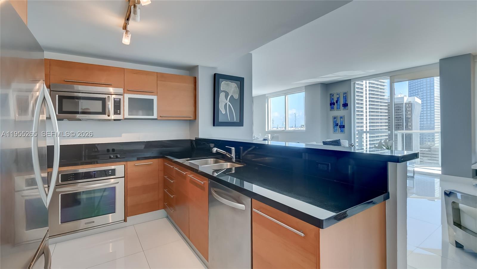 253 NE 2nd St #3509, Miami FL 33132
