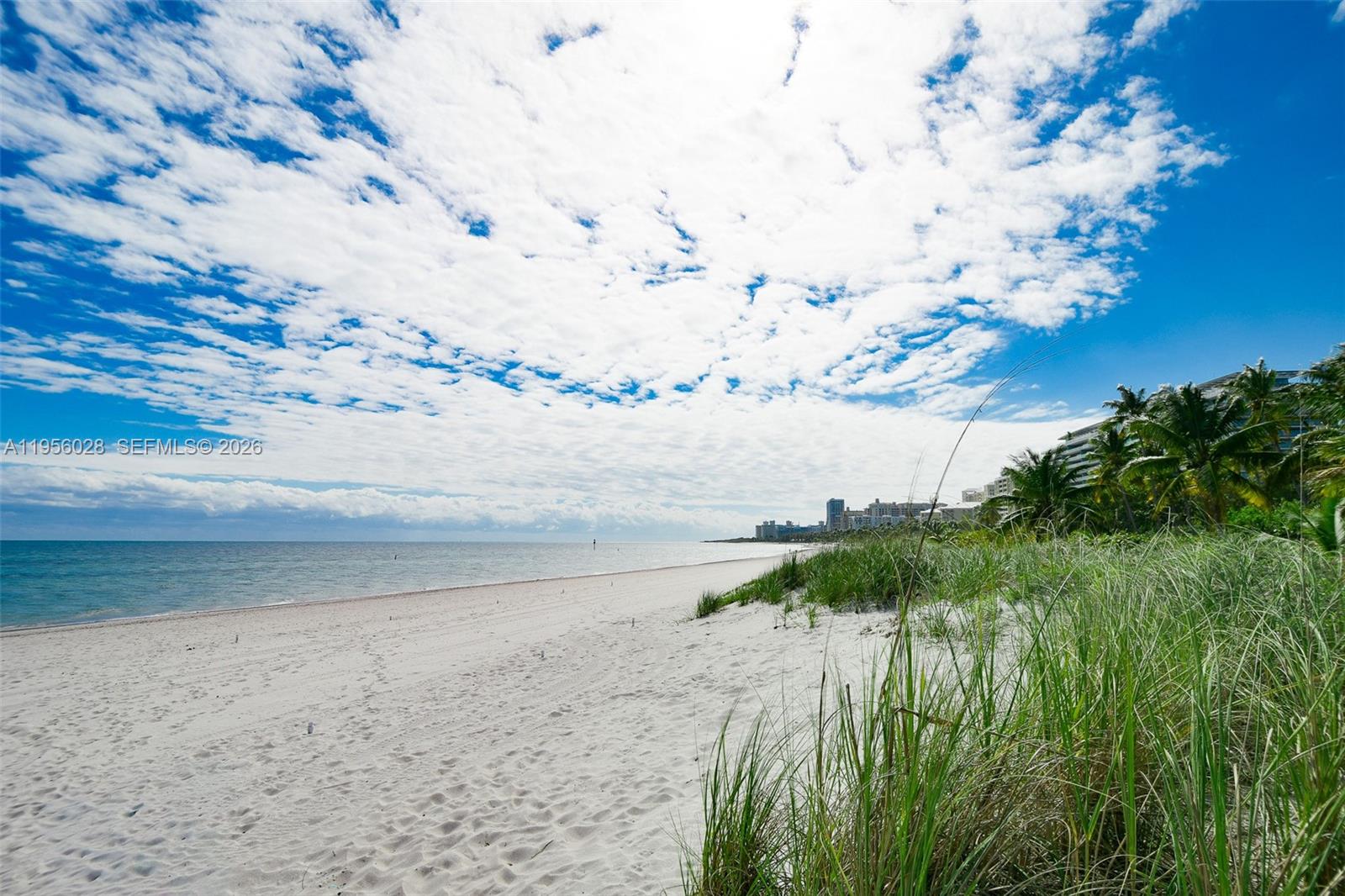 251 Crandon Blvd #704, Key Biscayne FL 33149