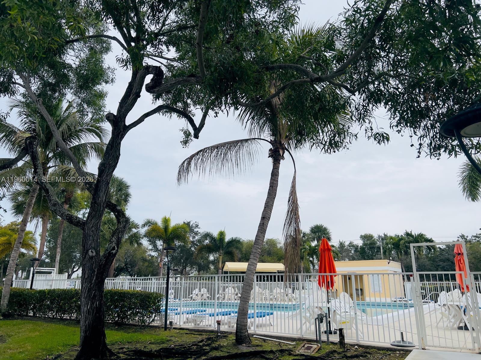 491 Racquet Club Rd #211, Weston FL 33326