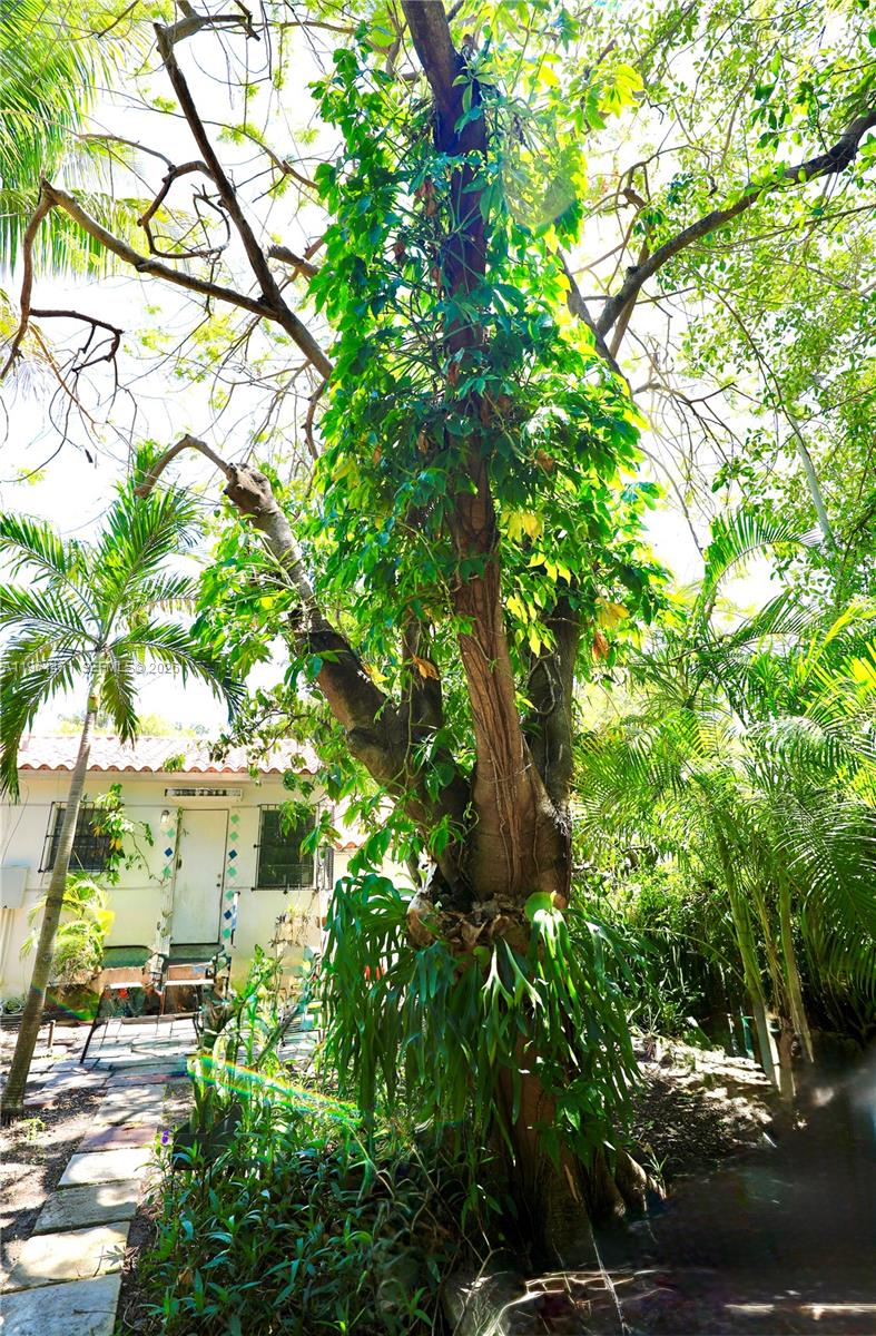 655 NE 82nd St, Miami FL 33138
