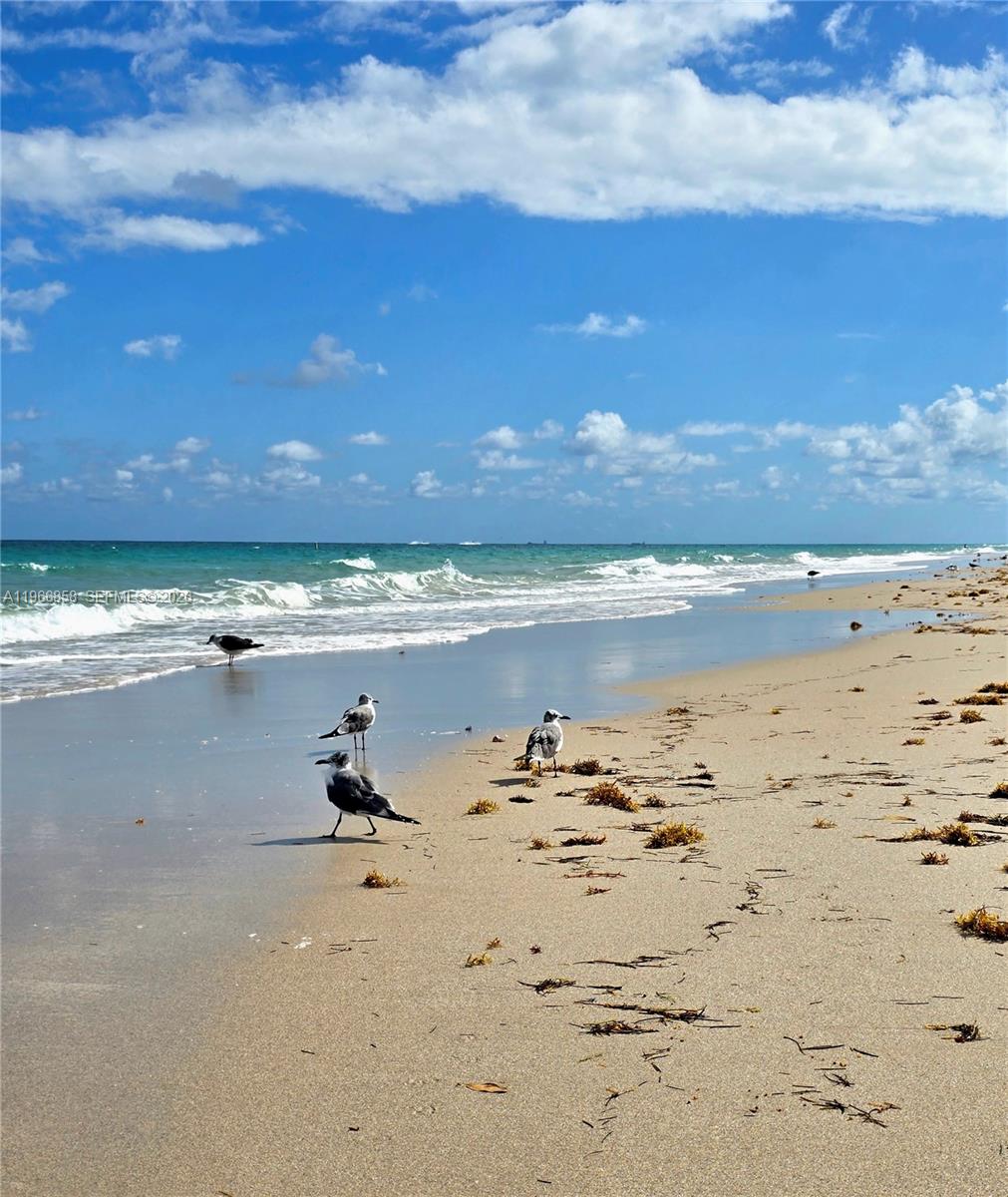 10175 Collins Ave #208, Bal Harbour FL 33154