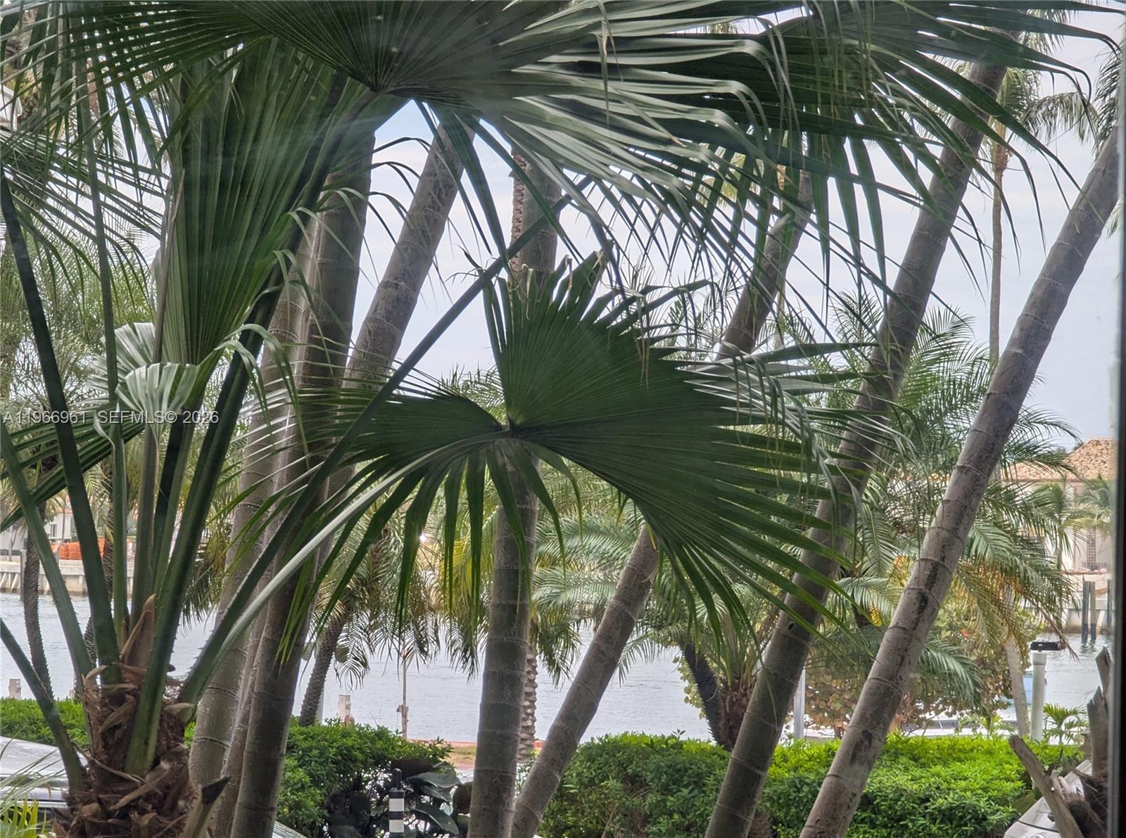 5161 Collins Ave #208, Miami Beach FL 33140