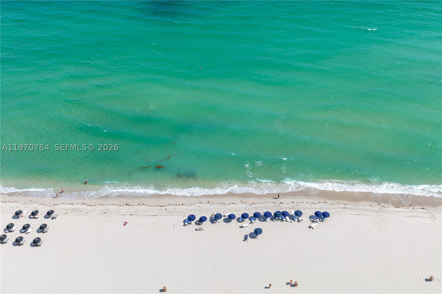 17121 Collins Ave #2905, Sunny Isles Beach FL 33160