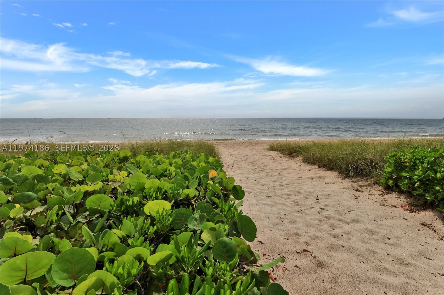 3036 N Atlantic Blvd, Fort Lauderdale FL 33308