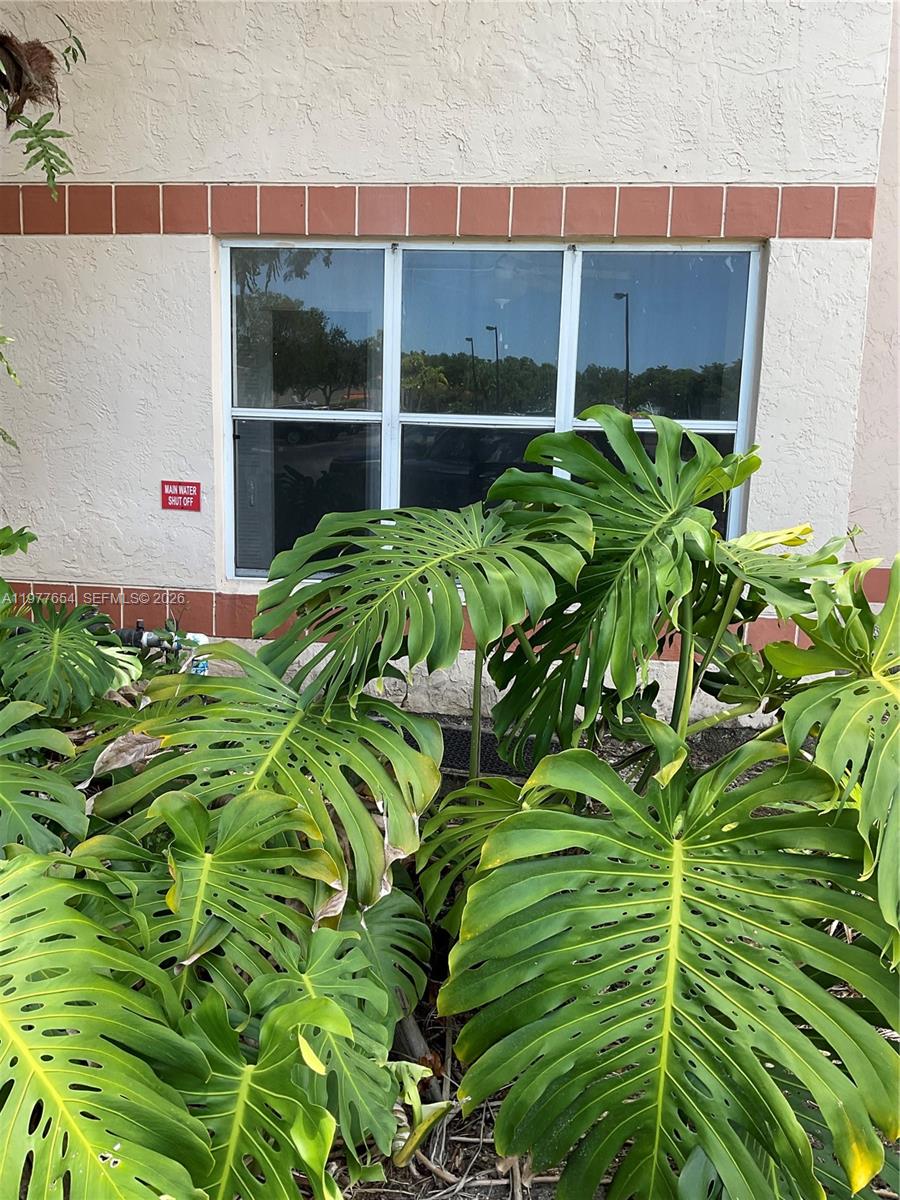 3320 N Pinewalk Dr N #1715, Margate FL 33063
