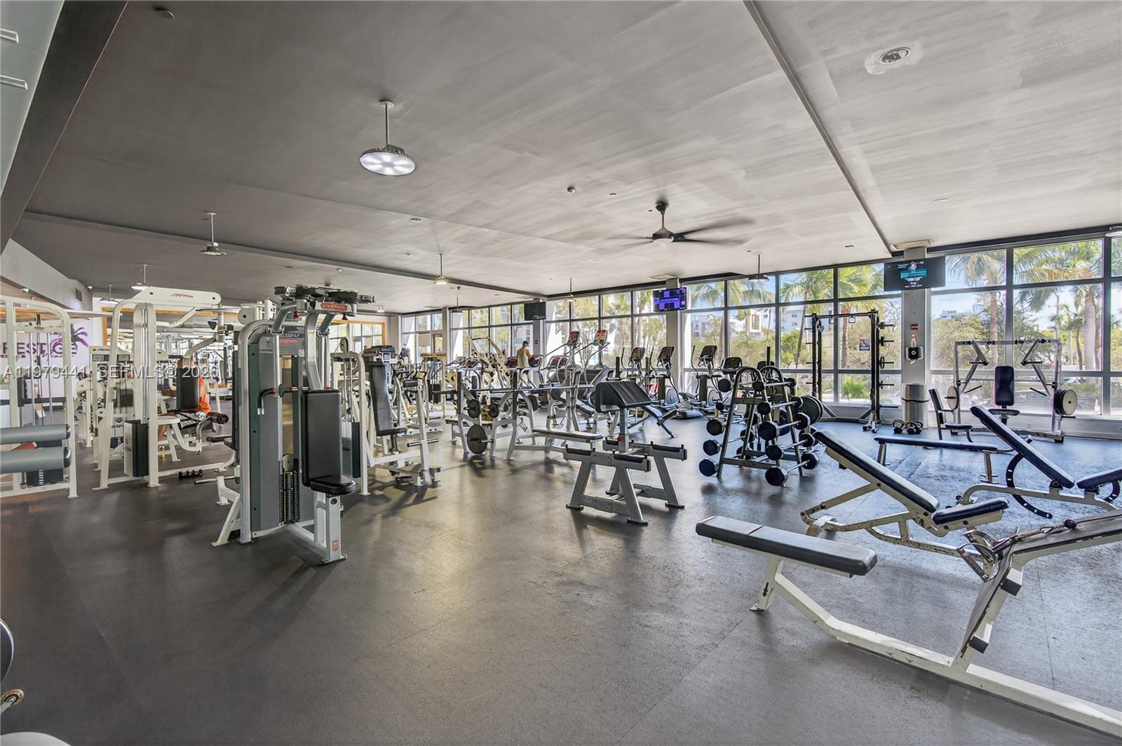 1000 West Ave #923, Miami Beach FL 33139