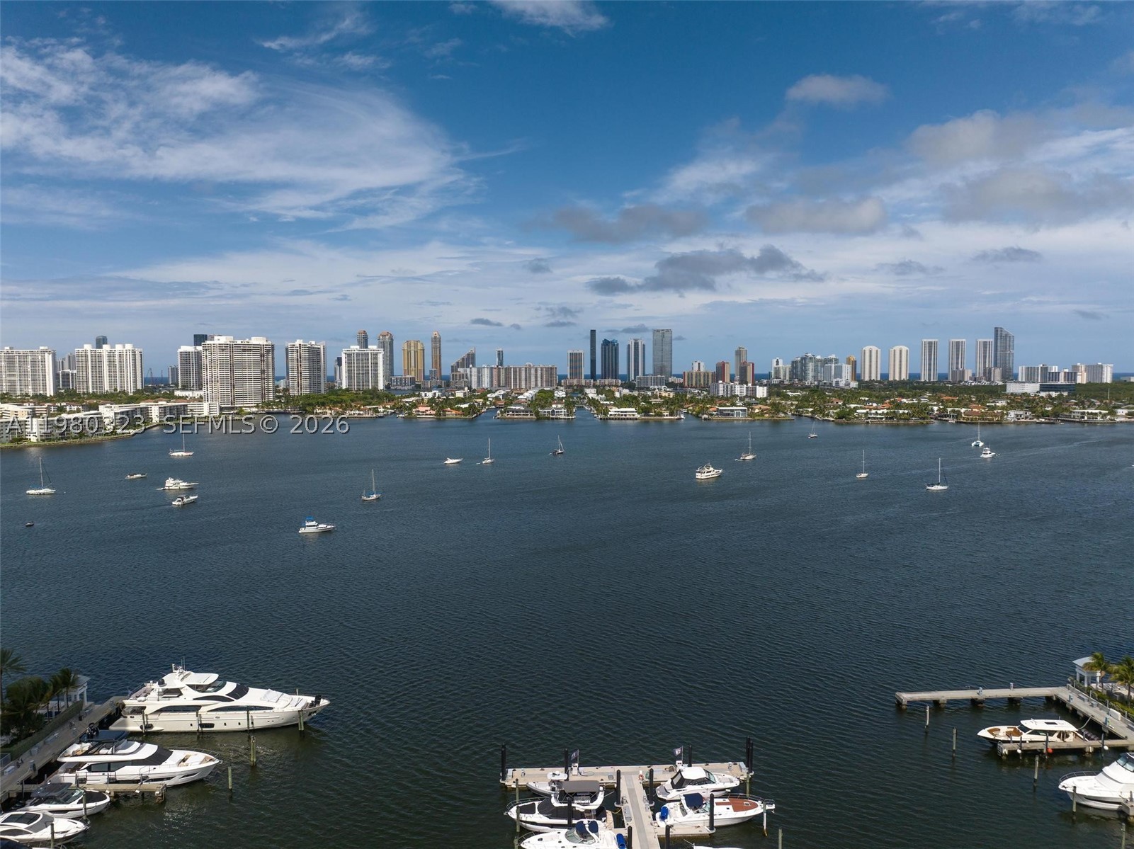 17111 Biscayne Blvd #207, North Miami Beach FL 33160