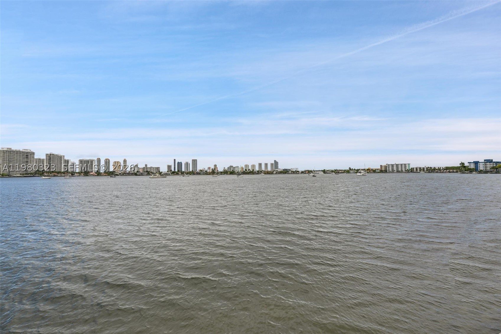 17111 Biscayne Blvd #207, North Miami Beach FL 33160