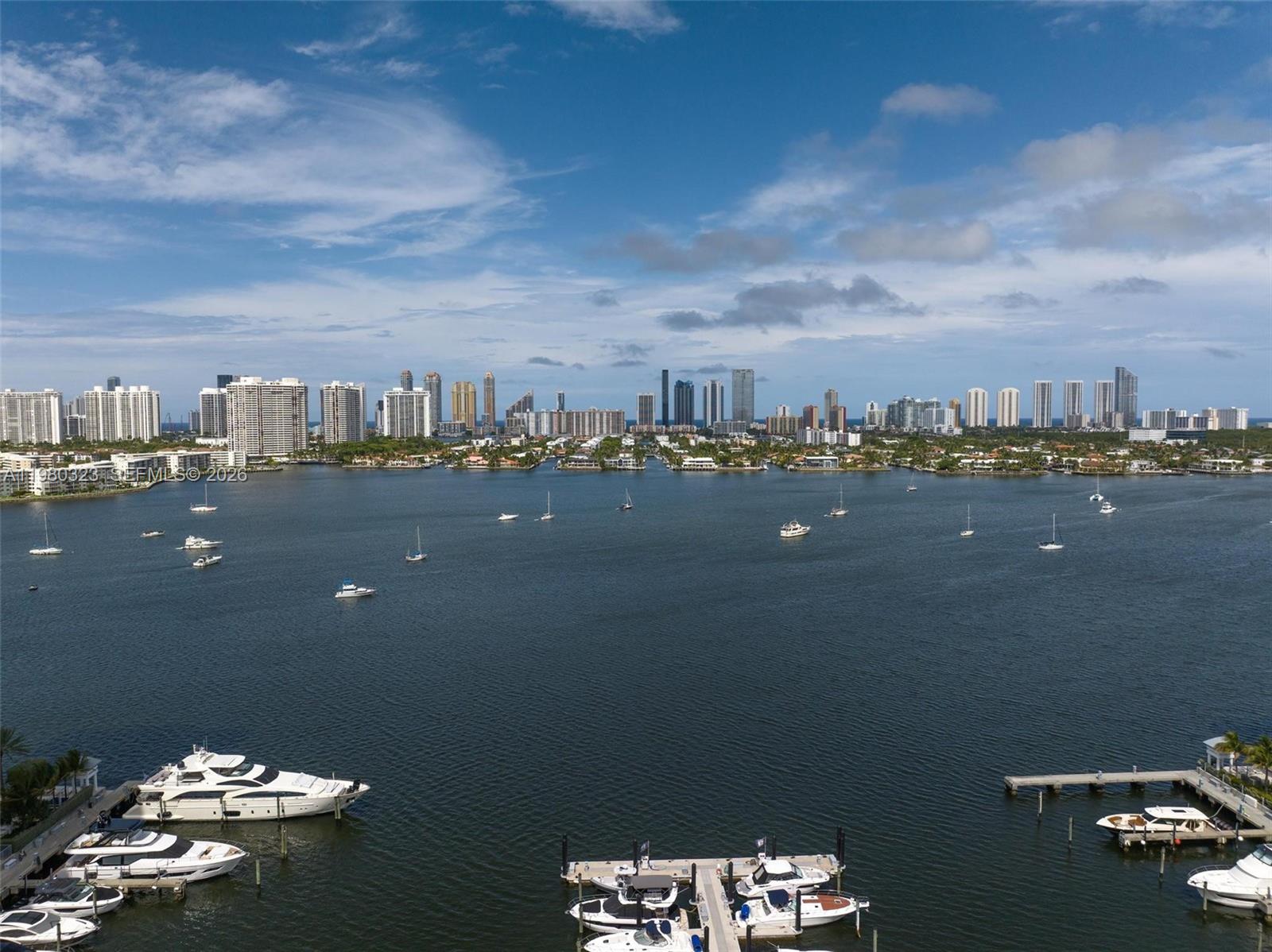 17111 Biscayne Blvd #207, North Miami Beach FL 33160